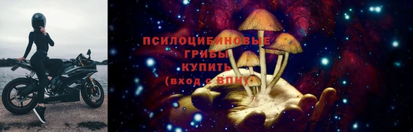 ешки Александровское