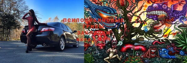 дживик Кущёвская