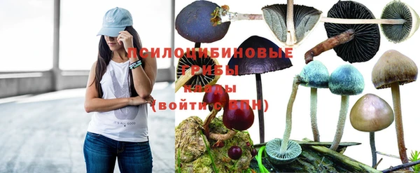 ешки Александровское