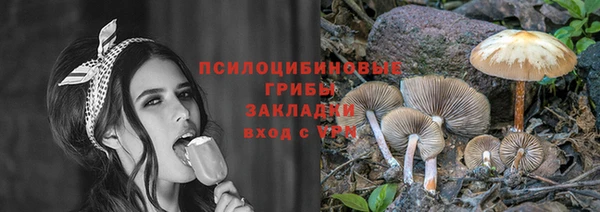 ешки Александровское