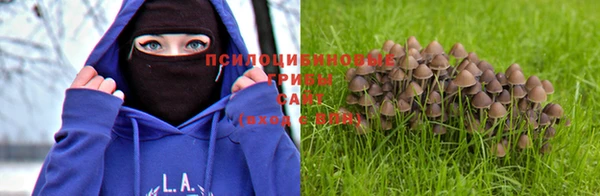 эйфоретик Иноземцево
