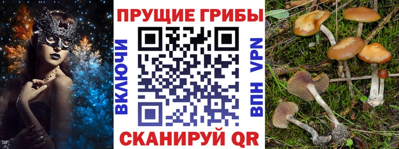 Псилоцибиновые грибы мицелий  Долгопрудный 