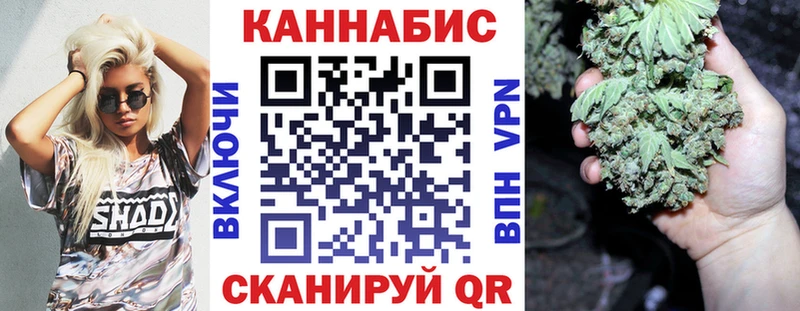 где можно купить   Долгопрудный  Бошки Шишки ГИДРОПОН 