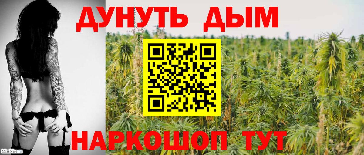 Шишки марихуана Bruce Banner  Вход с VPN  Долгопрудный  Шишки марихуана White Widow 